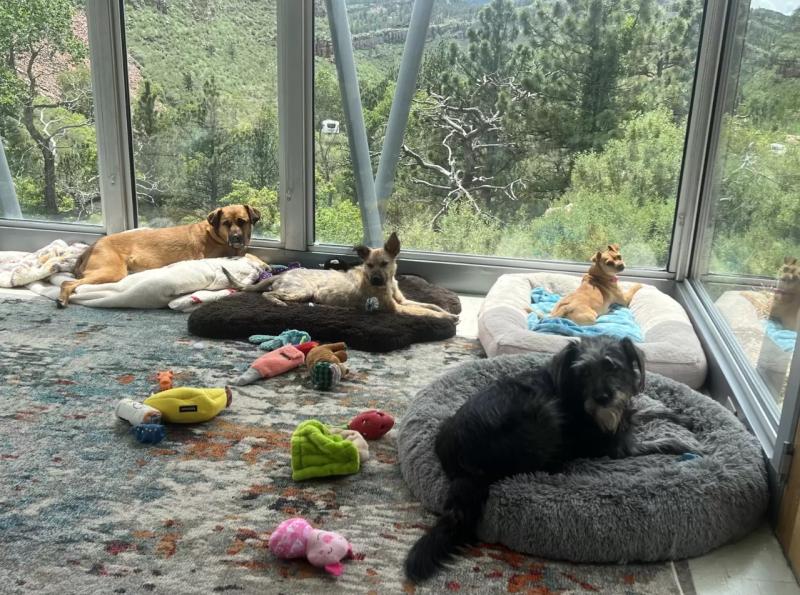 Braydon y sus amigos