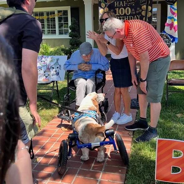 PERROS SALUDAN A DR. MOORE