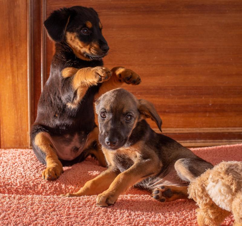 IMAGEN REFERENCIAL UNSPLASH