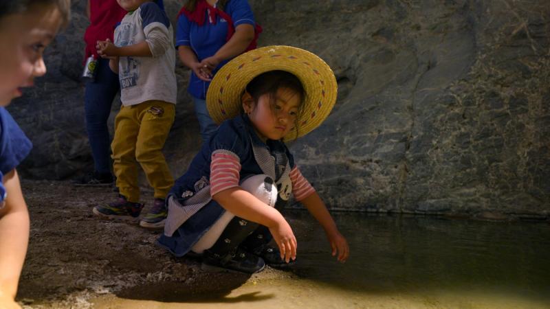 DOCUMENTAL "RAÍCES"