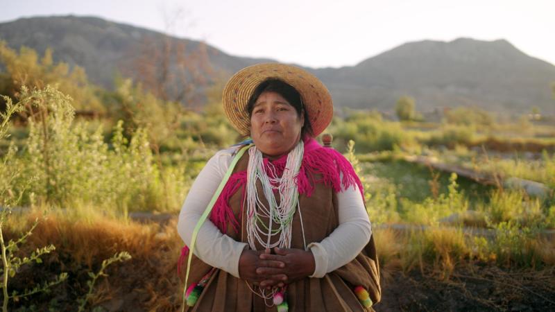 DOCUMENTAL "RAÍCES"