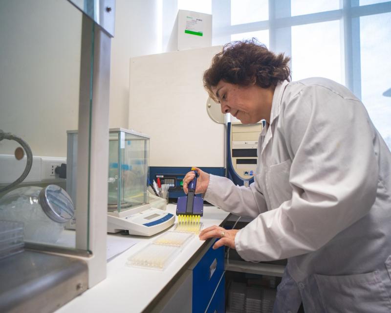Margarita Gutiérrez Cabrera, investigadora del Instituto de Química de Recursos Naturales de la U. de Talca y coautora del trabajo.