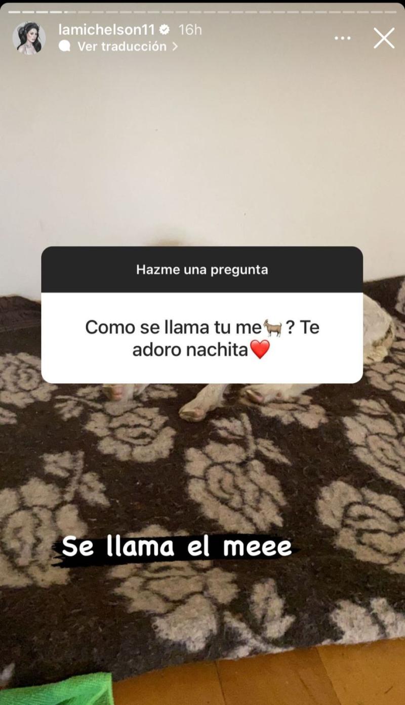 Ignacia Michelson adoptó una cabra y reveló su nombre.