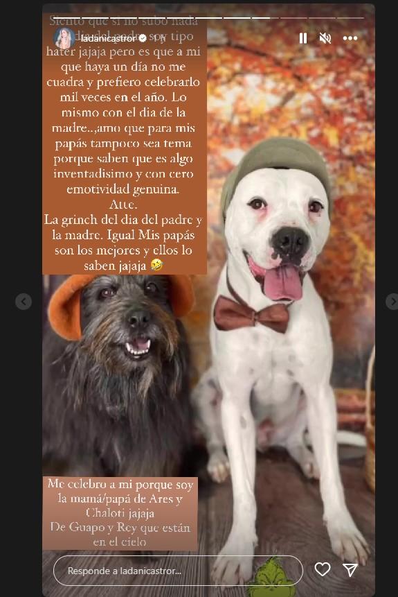 Historia de Dani Castro