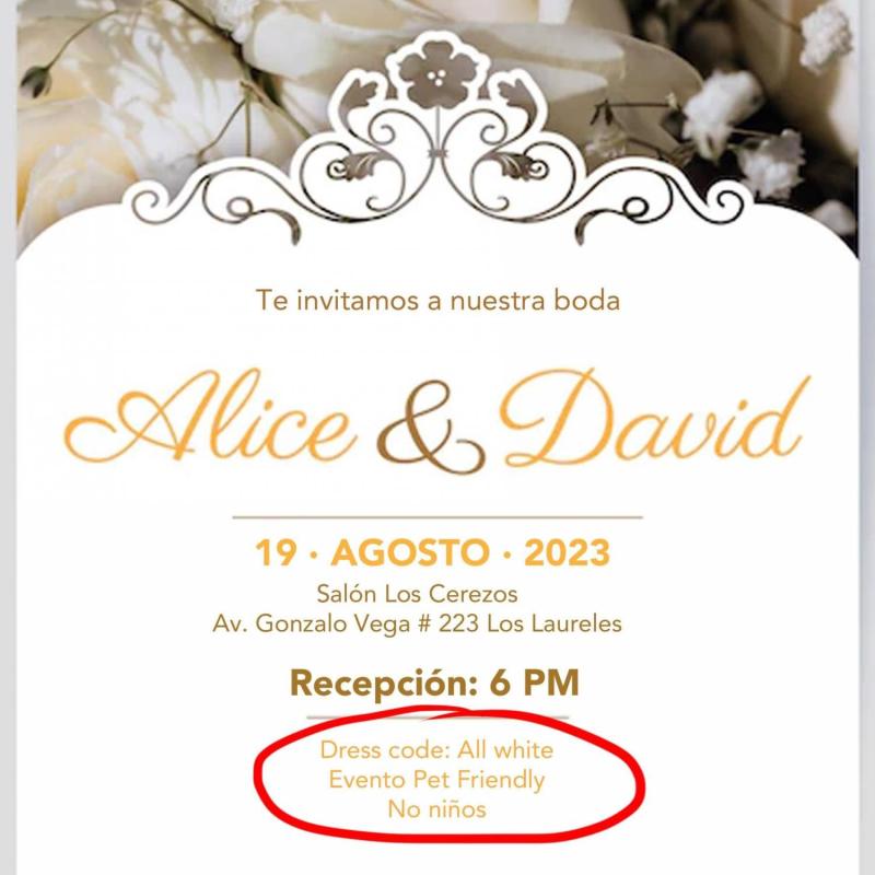 Polémica tarjeta de invitación de boda: aceptan mascotas pero niños no