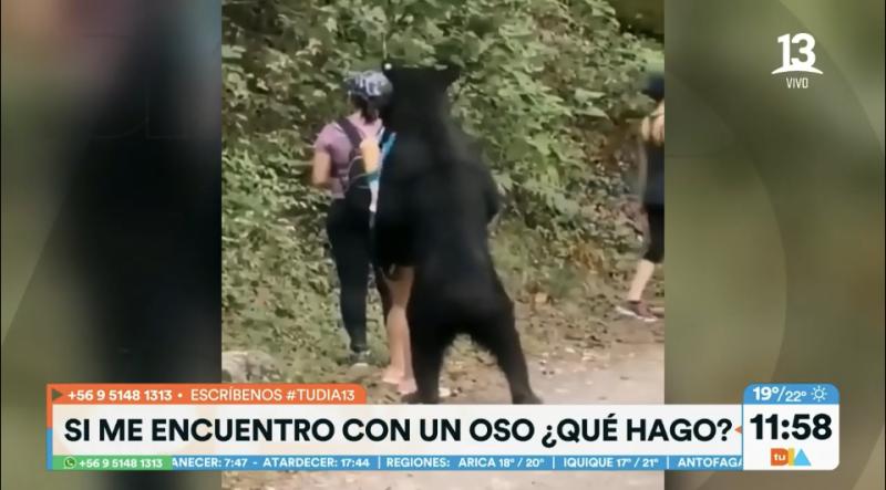 Mujeres se encuentran frente a frente con un oso, reacción fue viral