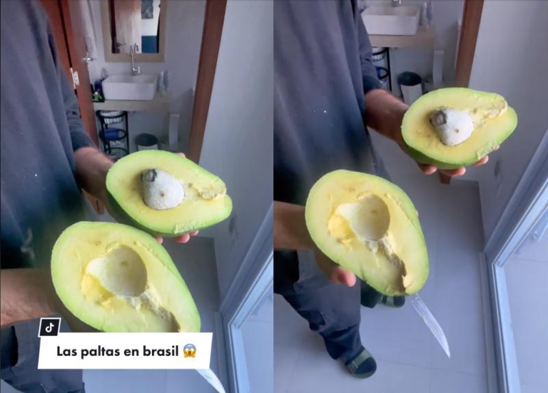 Palta