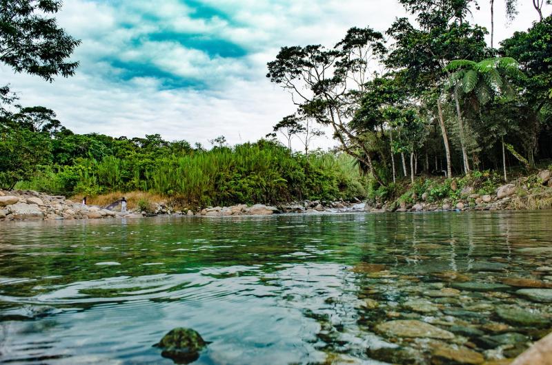 DEFORESTACIÓN HA BAJADO 33% EN AMAZONAS