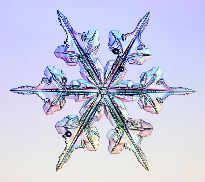 Snowcrystals.com