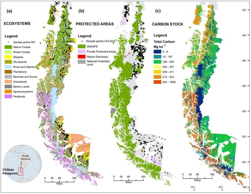 MAPA RETENCIÓN DE CARBONO EN LA PATAGONIA
