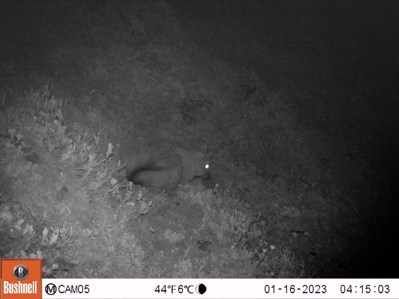 CRÉDITOS: FUNDACIÓN PUELO PATAGONIA