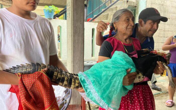 Casamiento entre alcalde mexicano y un caimán