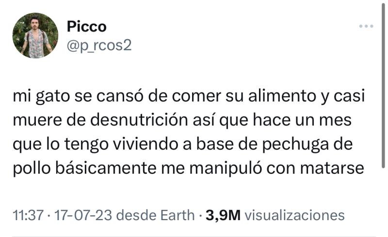 Gato hizo huelga de hambre