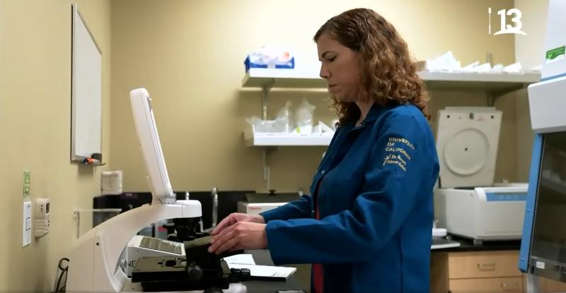 “Pasaporte Ciencia”: Mentes chilenas por el mundo