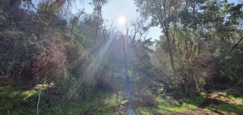 Parque La Vacada: Naturaleza, senderos y pistas a 45 minutos de Santiago