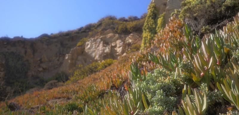 Conoce el minidocumental “Última Duna”