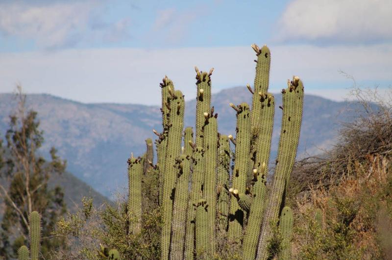 Foto: Alhué y sus entornos