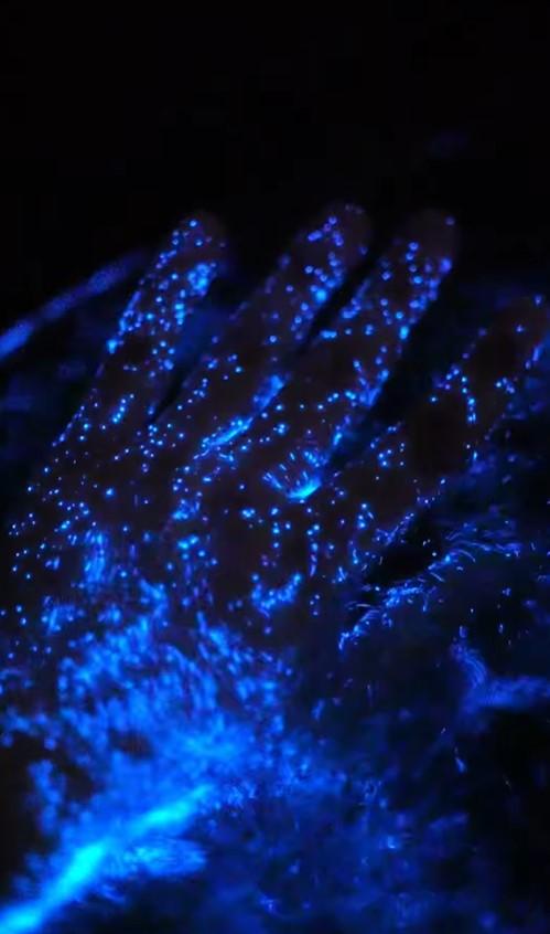 Bioluminiscencia en agua como si fuera Avatar