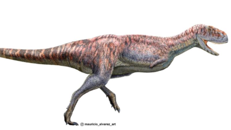 El dinosaurio chileno. Créditos: Bíobio