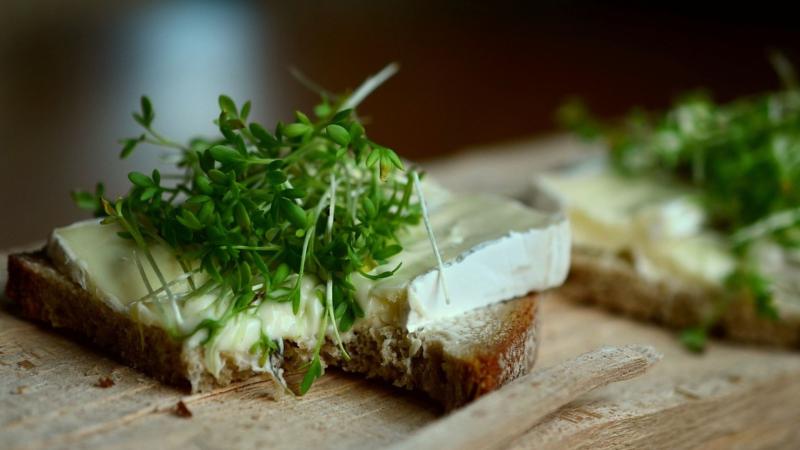 El berro, el alimento más sano del mundo