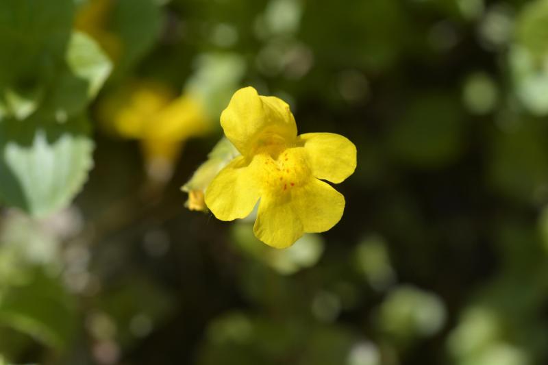 Créditos Getty Images.