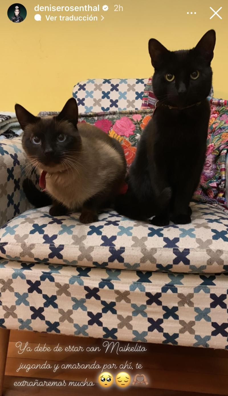 Denise Rosenthal - Instagram