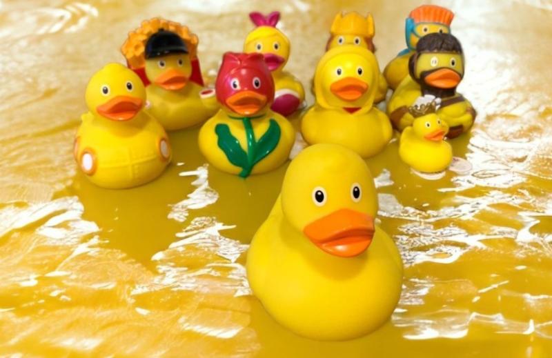 Pato de goma se tomará las calles de Av Italia