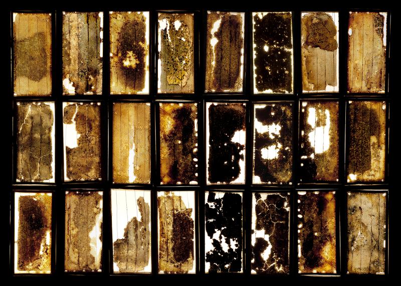 Comenzó la postulación a la cuarta versión de Premio PAM Artista Mujer 2023