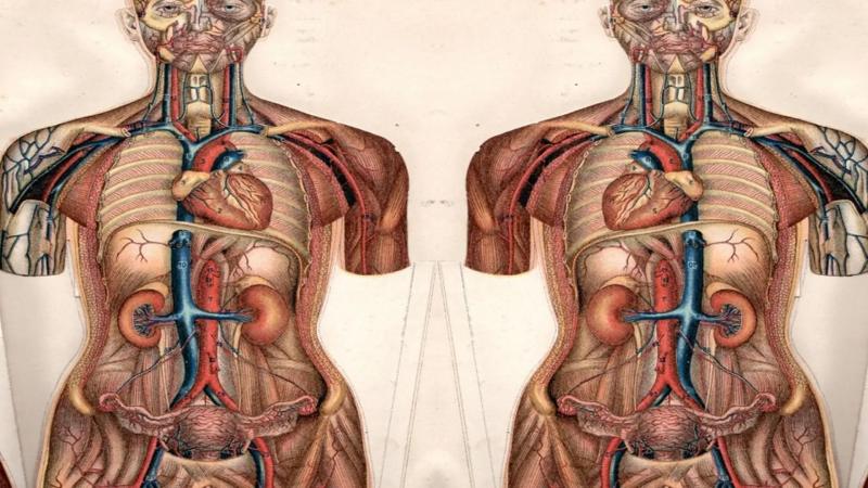 Así es el situs inversus de Enrique Iglesias