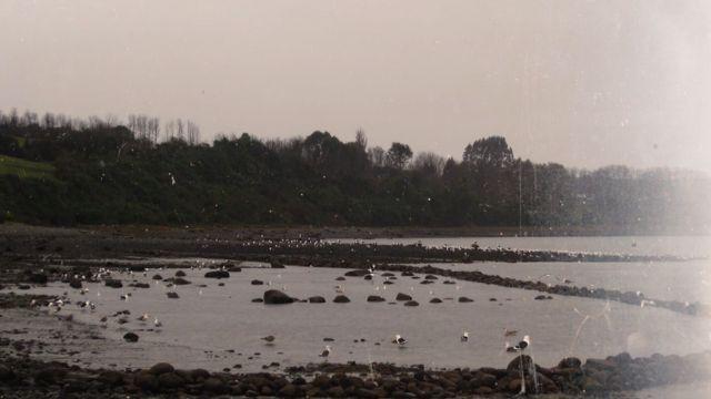 Corrales de pesca, una técnica milenaria empleada por pueblos indígenas.