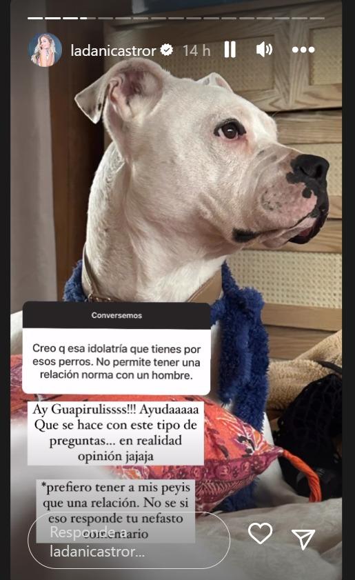 Historia de Dani Castro