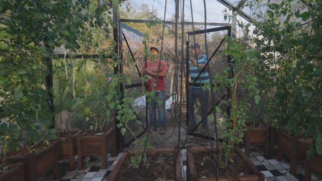 Construcción de invernadero de Carlo von Mühlenbrock.