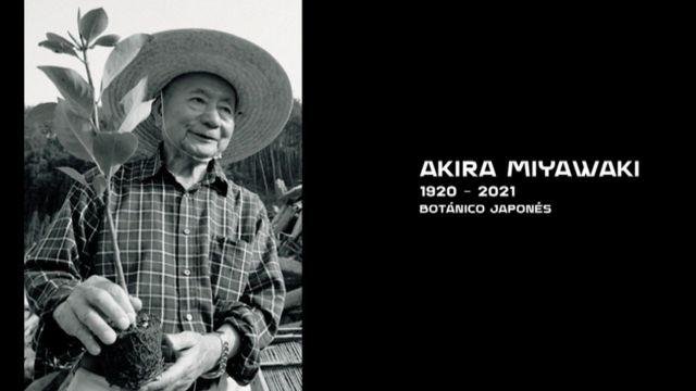 método de restauración ecológica llamado Bosque Miyawaki.