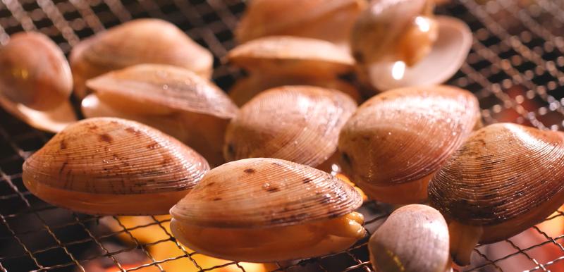 “Seafood lovers”: Más fresco imposible