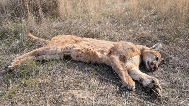 Fotografía de Alejandro Carribero.