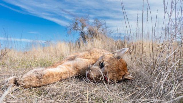 Fotografía de Alejandro Carribero.
