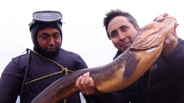 Tomás Vigneaux con un congrio colorado pescado por Elvio Lagos, buzo artesanal.