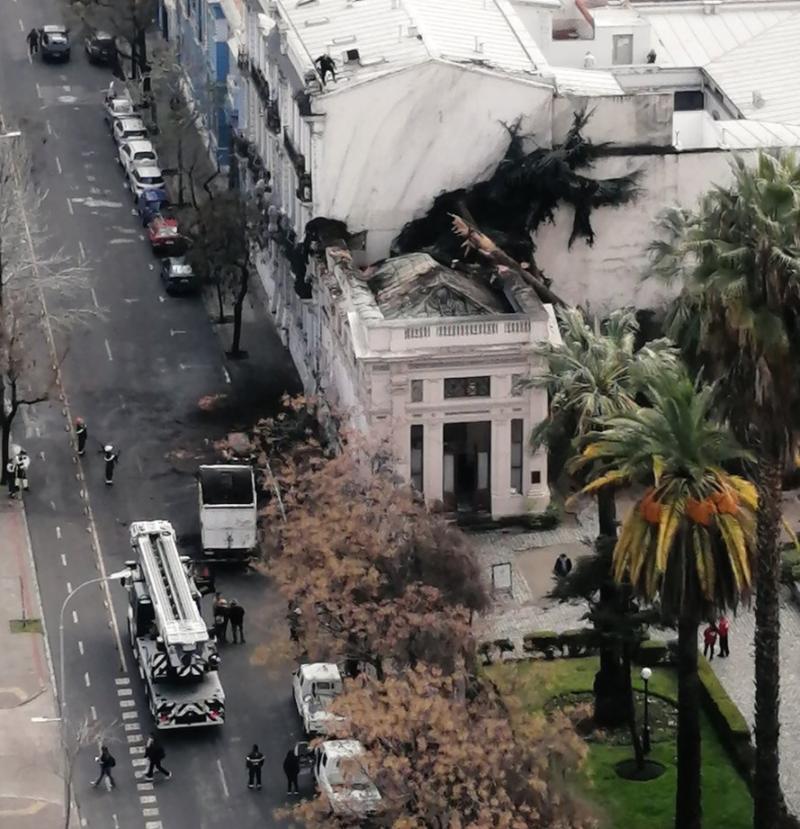 Árbol caído en Palacio Cousiño
