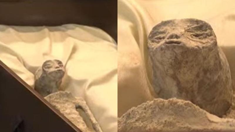 Momias extraterrestres son de mentira