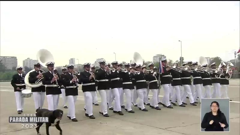 ¡No podía faltar! Perrito se coló en desfile de la Parada Militar 2023