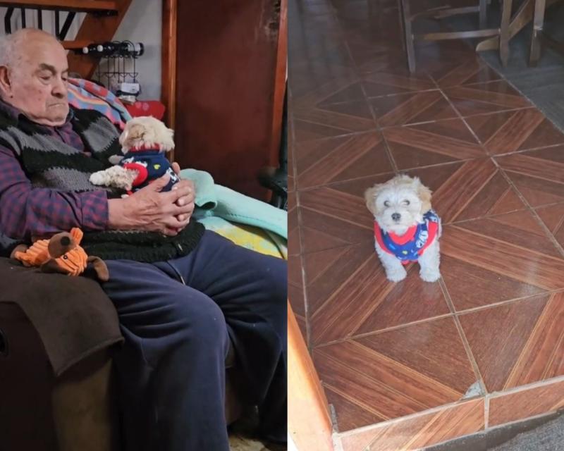 Tierna reacción de adulto mayor de 96 años cuando le regalan un cachorro