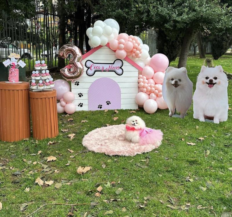 Nano Calderón - Instagram