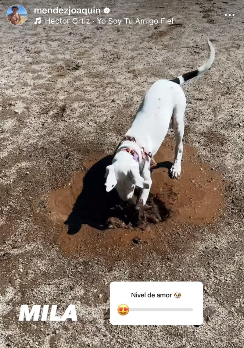 Joaquín Méndez - Instagram