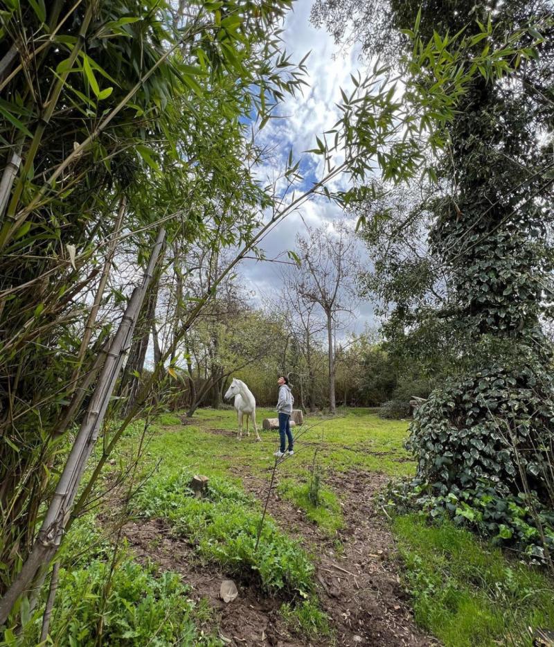 Montserrat Ballarin - Instagram