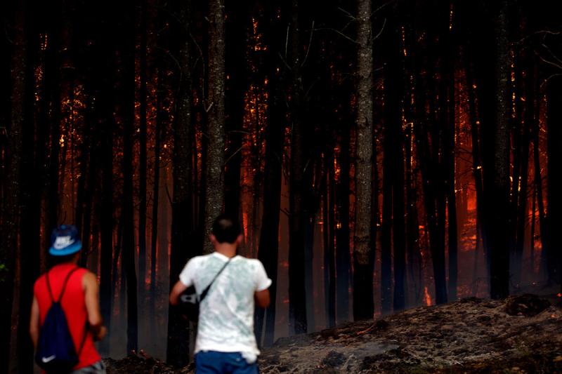 Incendios forestales