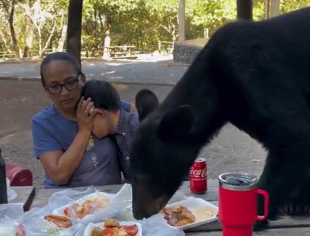 Madre tuvo que mantener la tranquilidad ante la presencia de este oso