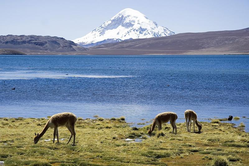 Parque Nacional Lauca