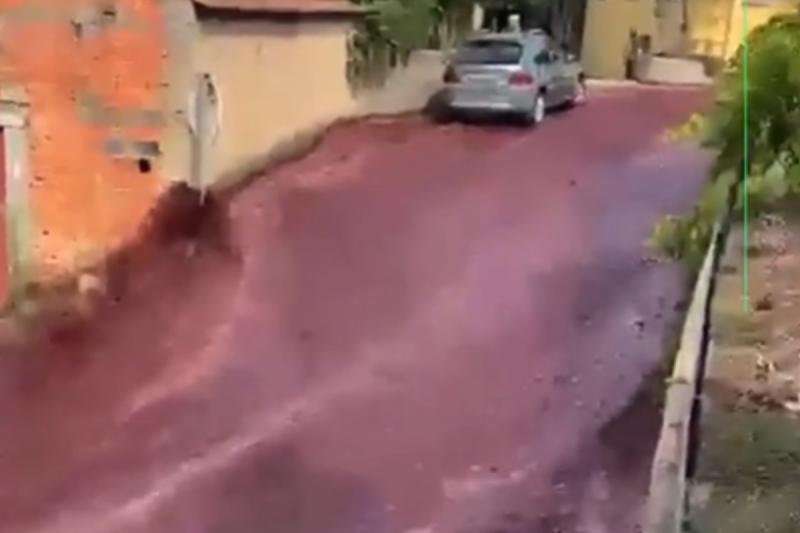 Río de vino inunda las calles de Portugal