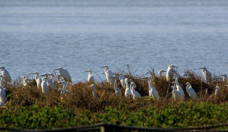 Gobierno aprueba cinco Santuarios de la Naturaleza