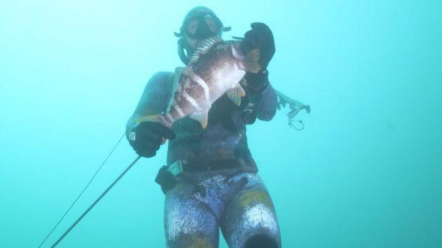 “A la pesca” realizaron técnicas de buceo en apnea y pesca submarina en las costas valdivianas.